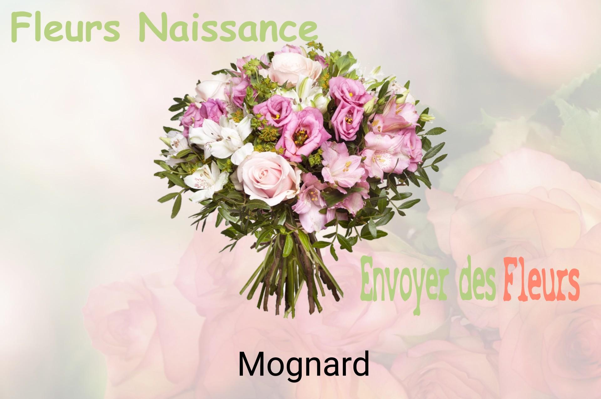 Bouquet de fleurs de naissance livré à Mognard